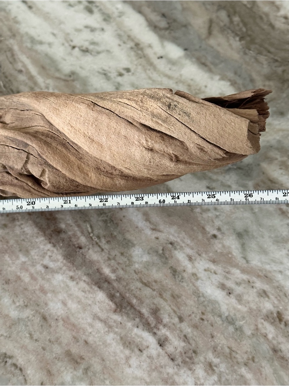 Large Natural Driftwood Branch - Coastal Beach Decor - Picture 14 of 17